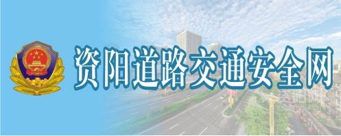 站长推荐操大逼资阳道路交通安全网